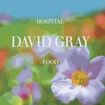 David Gray - Hospital Food single review